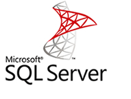 Microsoft SQL Server Logo