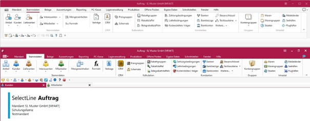 SelectLine Neues Design 3